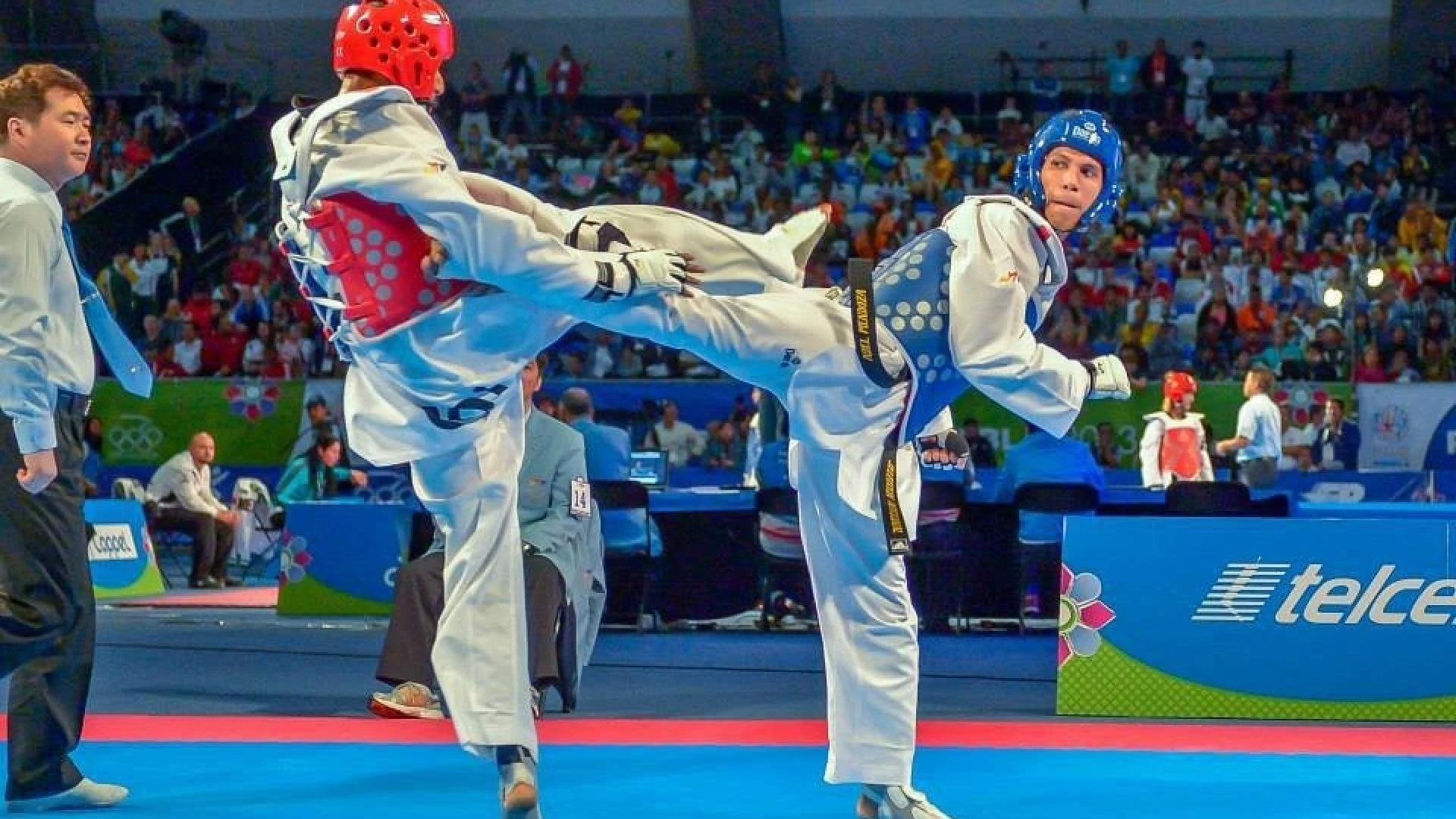Taekwondo